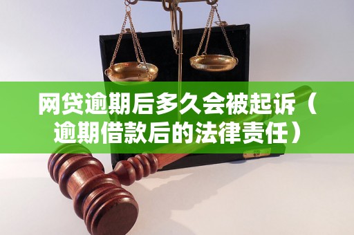 网贷逾期后多久会被起诉（逾期借款后的法律责任）