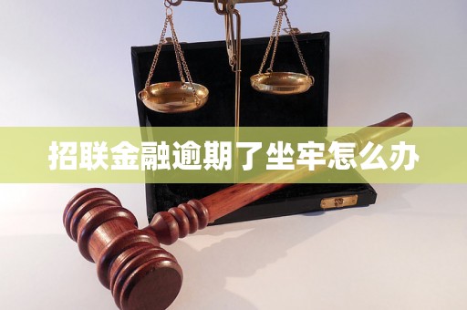 招联金融逾期了坐牢怎么办