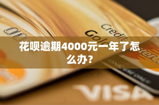 花呗逾期4000元一年了怎么办？