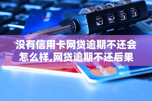 没有信用卡网贷逾期不还会怎么样,网贷逾期不还后果严重吗