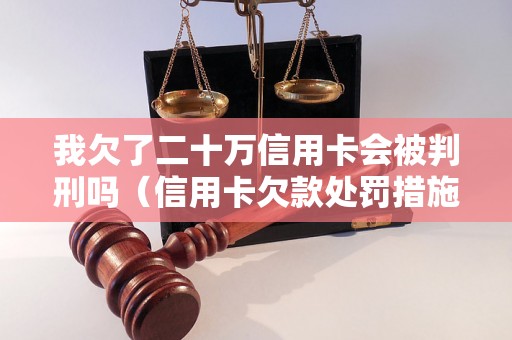 我欠了二十万信用卡会被判刑吗（信用卡欠款处罚措施详解）