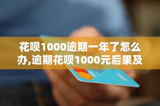 花呗1000逾期一年了怎么办,逾期花呗1000元后果及处理方法