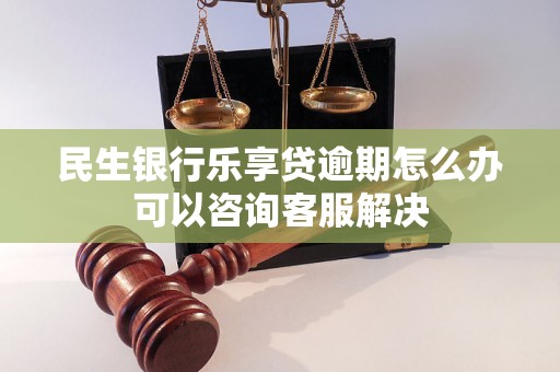 民生银行乐享贷逾期怎么办可以咨询客服解决