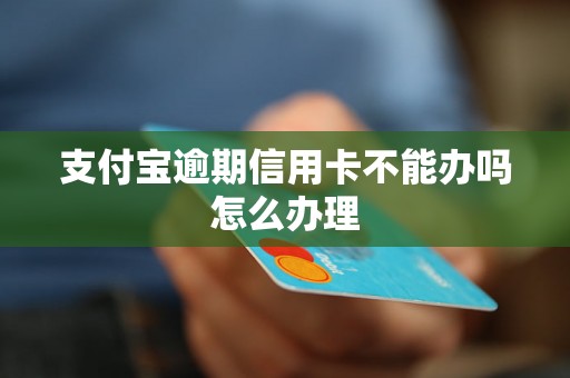 支付宝逾期信用卡不能办吗怎么办理