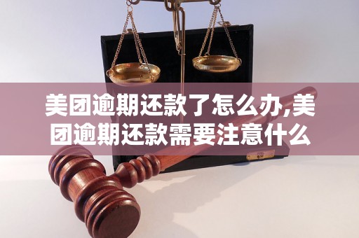 美团逾期还款了怎么办,美团逾期还款需要注意什么