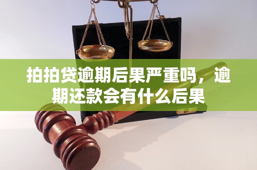 拍拍贷逾期后果严重吗，逾期还款会有什么后果