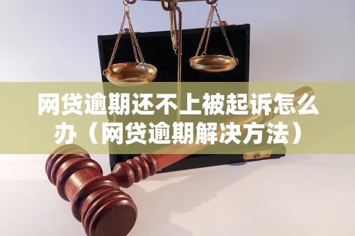 网贷逾期还不上被起诉怎么办（网贷逾期解决方法）