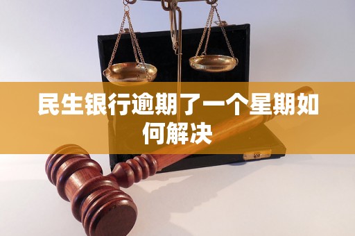 民生银行逾期了一个星期如何解决