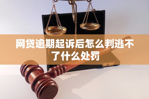 网贷逾期起诉后怎么判逃不了什么处罚