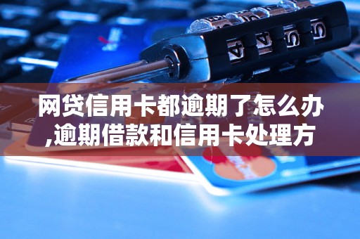 网贷信用卡都逾期了怎么办,逾期借款和信用卡处理方法