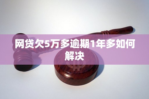 网贷欠5万多逾期1年多如何解决