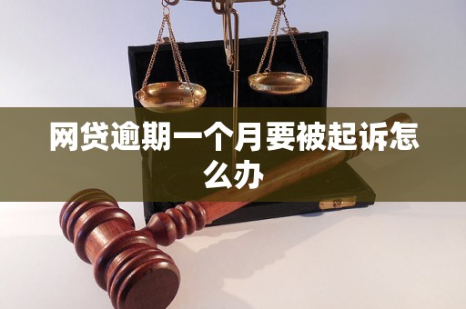 网贷逾期一个月要被起诉怎么办