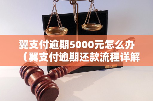 翼支付逾期5000元怎么办（翼支付逾期还款流程详解）