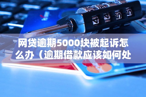 网贷逾期5000块被起诉怎么办（逾期借款应该如何处理）