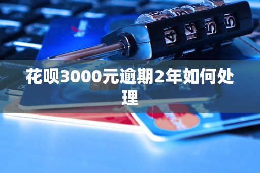 花呗3000元逾期2年如何处理