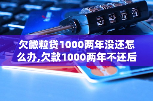 欠微粒贷1000两年没还怎么办,欠款1000两年不还后果