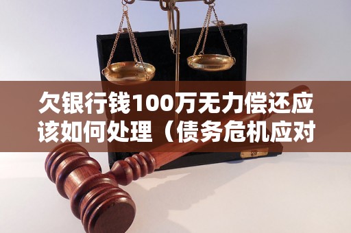 欠银行钱100万无力偿还应该如何处理（债务危机应对策略）