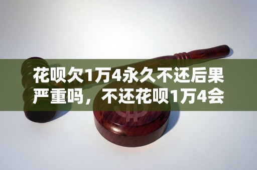 花呗欠1万4永久不还后果严重吗，不还花呗1万4会有什么后果