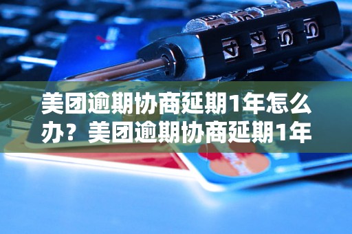 美团逾期协商延期1年怎么办？美团逾期协商延期1年的流程是怎样的？