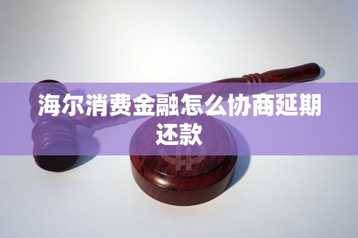 海尔消费金融怎么协商延期还款