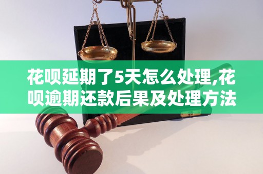 花呗延期了5天怎么处理,花呗逾期还款后果及处理方法