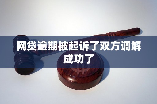 网贷逾期被起诉了双方调解成功了