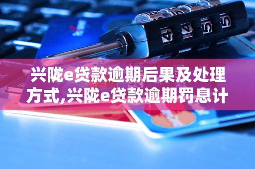 兴陇e贷款逾期后果及处理方式,兴陇e贷款逾期罚息计算