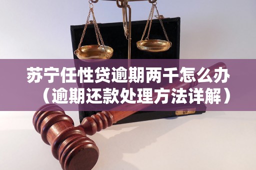 苏宁任性贷逾期两千怎么办（逾期还款处理方法详解）