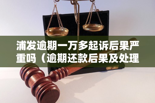 浦发逾期一万多起诉后果严重吗（逾期还款后果及处理方法）