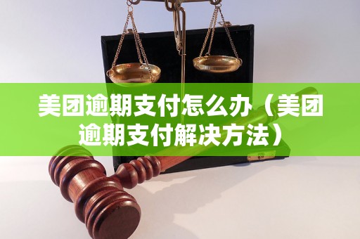 美团逾期支付怎么办（美团逾期支付解决方法）