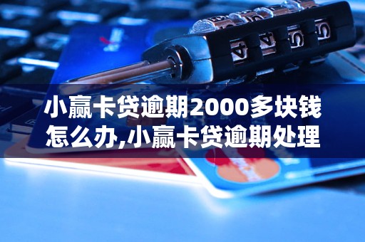 小赢卡贷逾期2000多块钱怎么办,小赢卡贷逾期处理方法