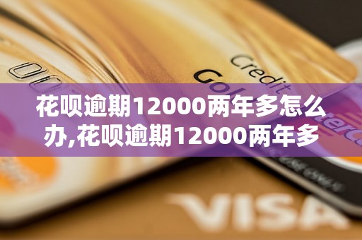 花呗逾期12000两年多怎么办,花呗逾期12000两年多会有什么后果