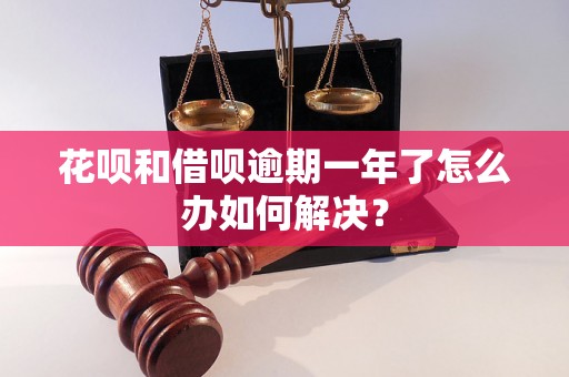 花呗和借呗逾期一年了怎么办如何解决？