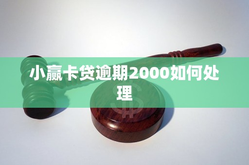 小赢卡贷逾期2000如何处理