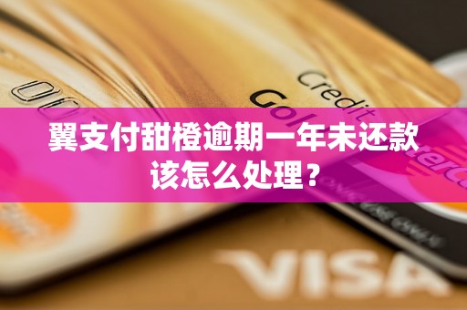 翼支付甜橙逾期一年未还款该怎么处理？