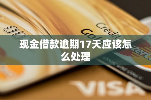 现金借款逾期17天应该怎么处理