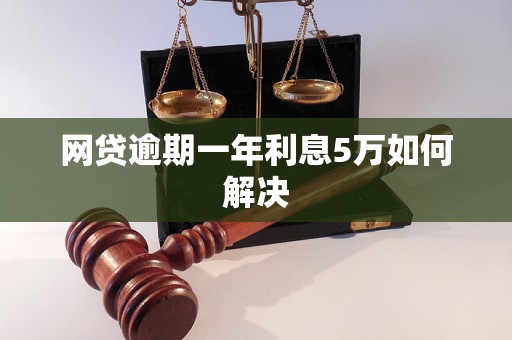 网贷逾期一年利息5万如何解决