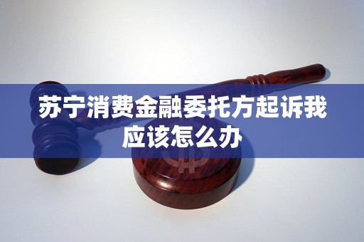 苏宁消费金融委托方起诉我应该怎么办