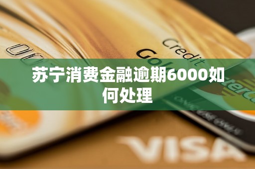 苏宁消费金融逾期6000如何处理