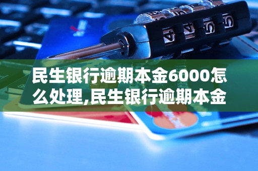 民生银行逾期本金6000怎么处理,民生银行逾期本金6000如何还款