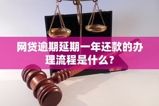 网贷逾期延期一年还款的办理流程是什么？