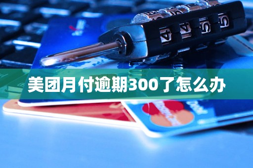 美团月付逾期300了怎么办