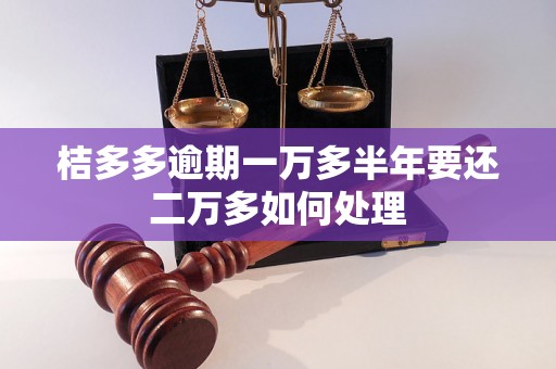 桔多多逾期一万多半年要还二万多如何处理