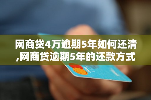 网商贷4万逾期5年如何还清,网商贷逾期5年的还款方式