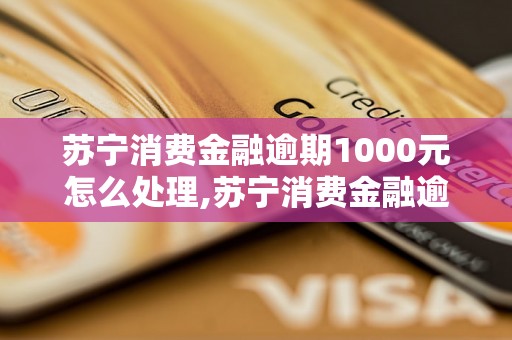 苏宁消费金融逾期1000元怎么处理,苏宁消费金融逾期还款流程指南