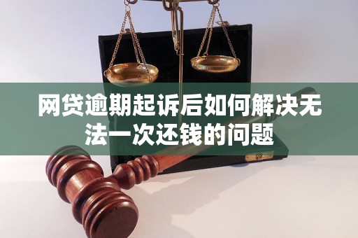 网贷逾期起诉后如何解决无法一次还钱的问题