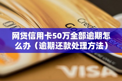 网贷信用卡50万全部逾期怎么办（逾期还款处理方法）