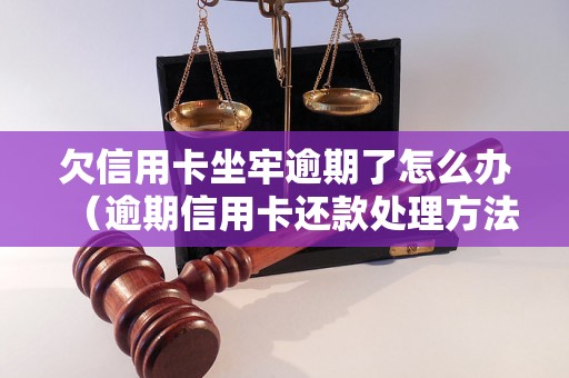 欠信用卡坐牢逾期了怎么办（逾期信用卡还款处理方法详解）