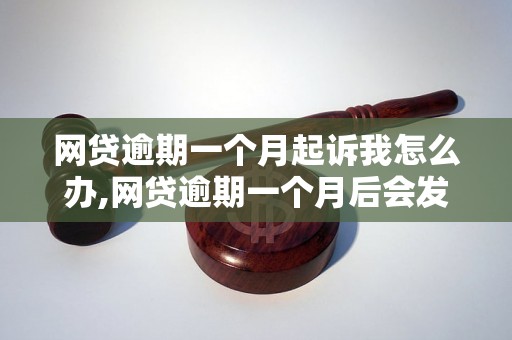 网贷逾期一个月起诉我怎么办,网贷逾期一个月后会发生什么