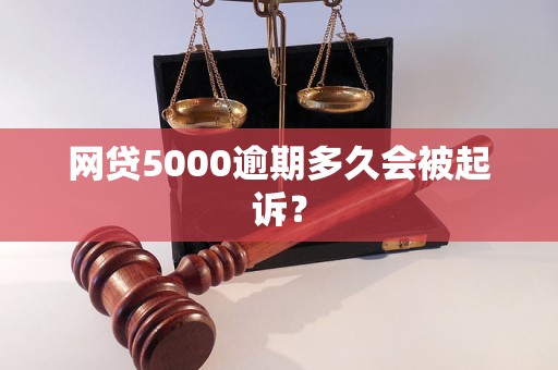 网贷5000逾期多久会被起诉？